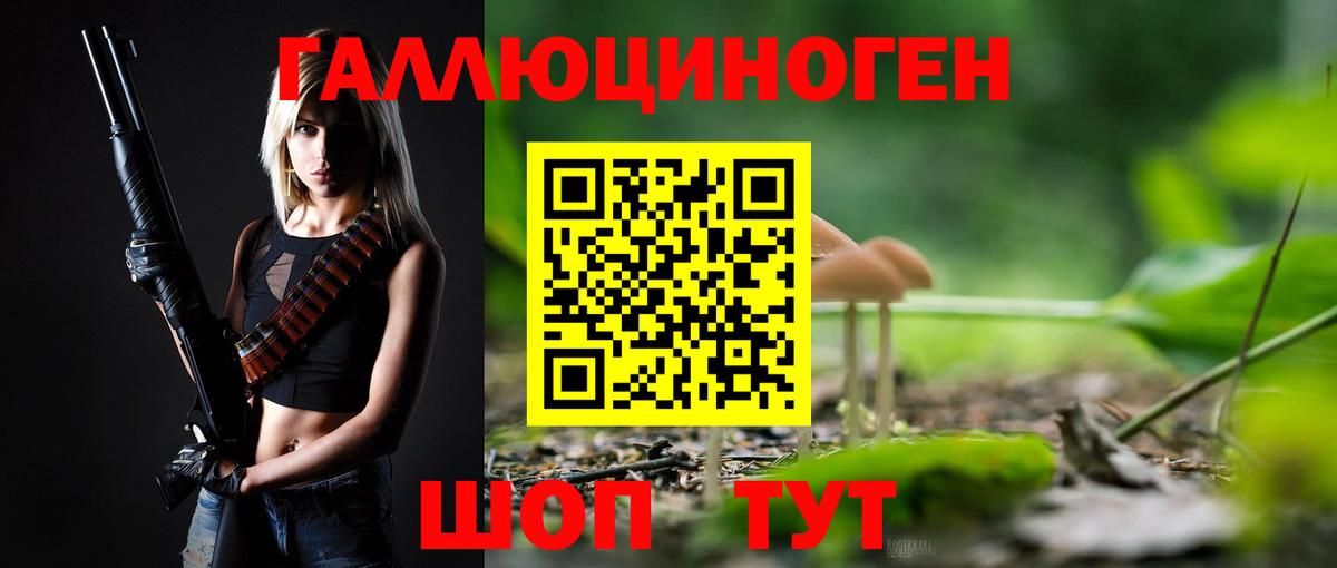Симферополь  Галлюциногенные грибы Psilocybe  Вход с VPN 